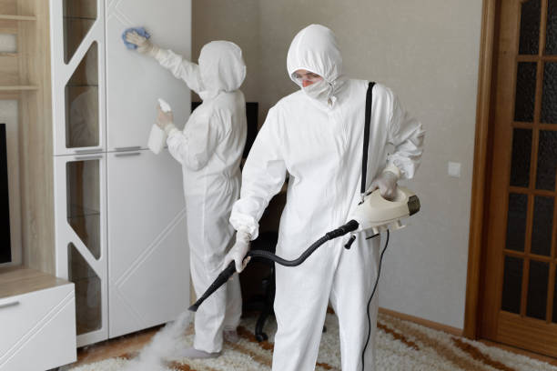 Best Attic Mold Removal  in Highland Park, TX
