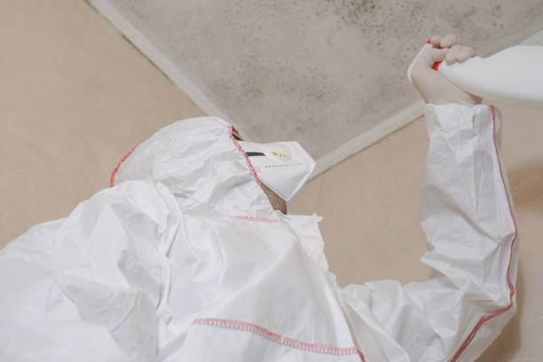 Best Emergency Mold Removal  in Highland Park, TX