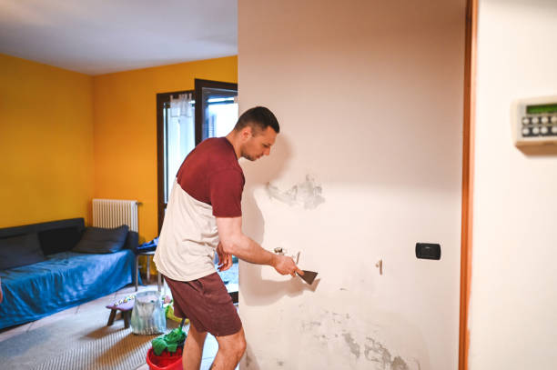 Best Crawl Space Mold Removal  in Highland Park, TX